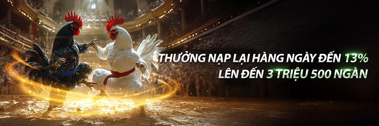 Đá Gà Trực Tuyến Hấp Dẫn tại acb888 Đăng Nhập